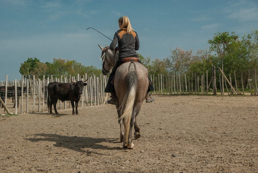 Au Cœur de la Camargue